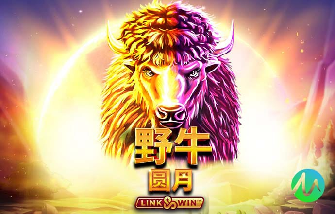 钱多多永久免费资料